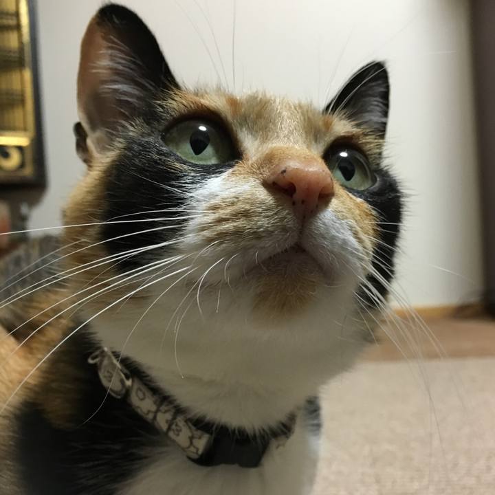 51ef044d b627 4cd9 b4df aa4671452bc5