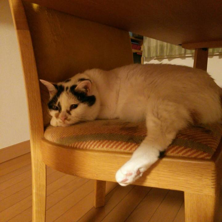 51ef2817 a04a 4b8b 87d9 1484ae5e2897