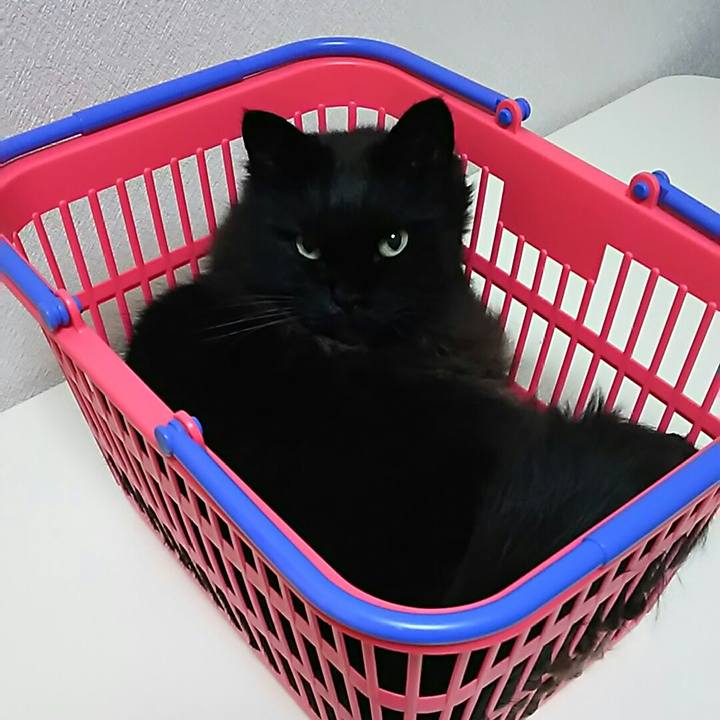 51ef4d2f c17c 48b9 8f98 d4447e96bb83