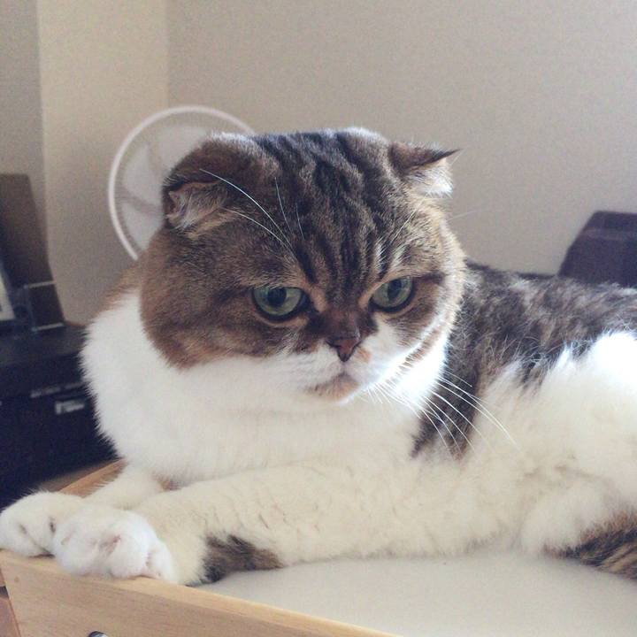 51efa497 ee22 45e2 8d74 0e5bfa9c552b