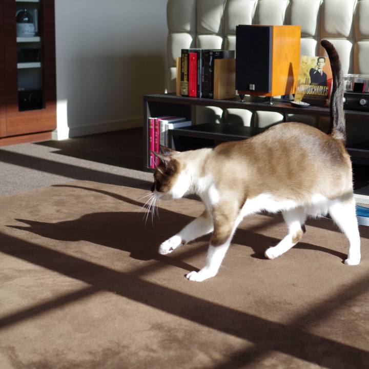 51f03f99 1384 4af1 8233 ee672b23761e