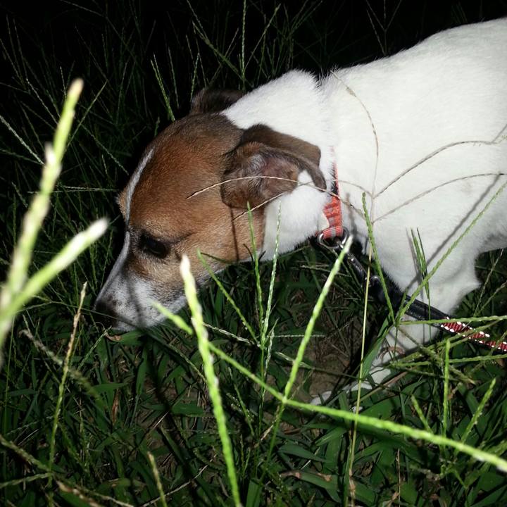 51f0cf0c 4d4a 444a 8644 54fd59b46130