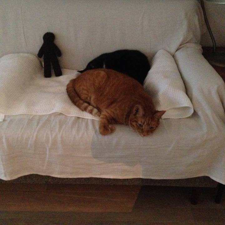 51f12b34 b004 4b30 9755 4c4320f8cfc3