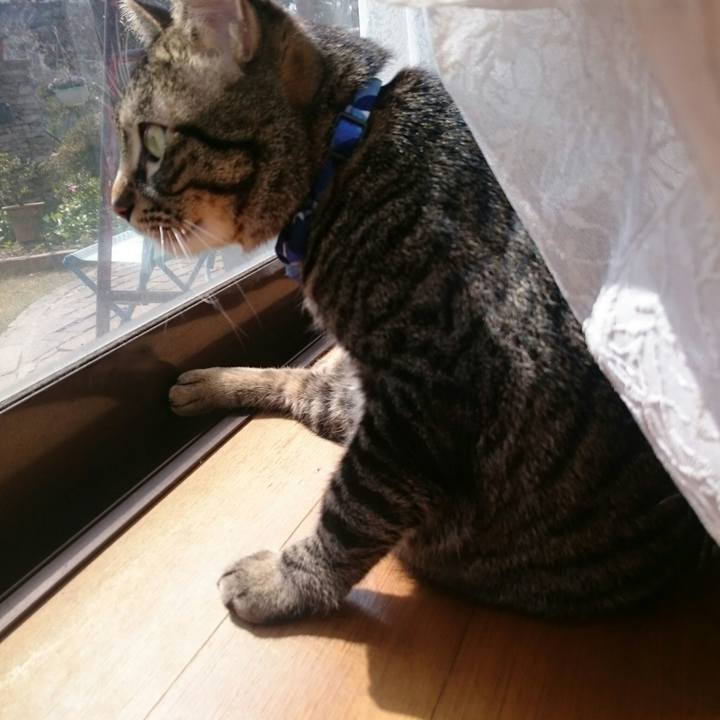 51f14fc5 aff4 463a 86d7 20badf3fb342