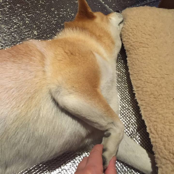 51f16930 4448 4f59 9141 3594c4173794