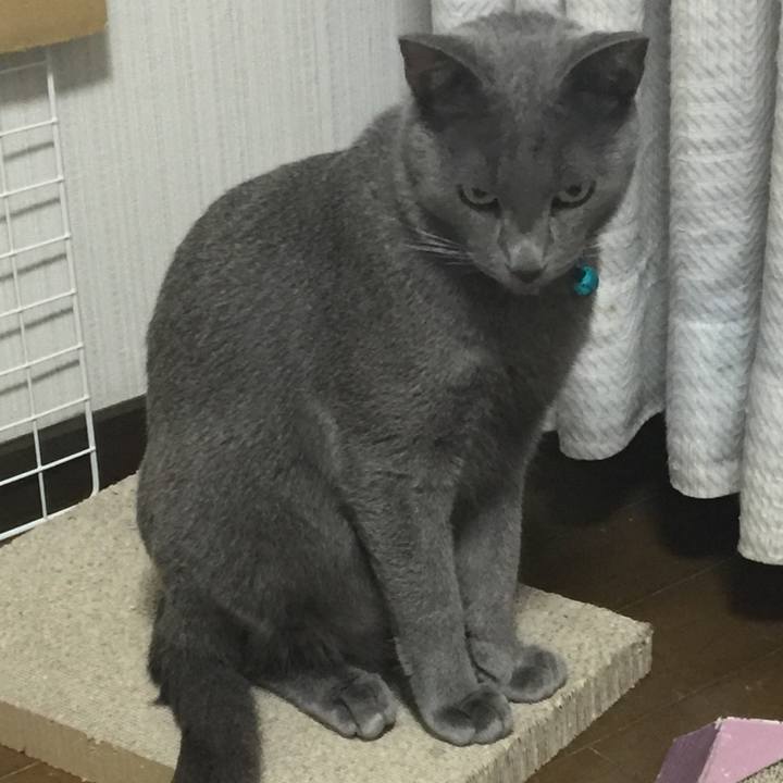 51f1c1a7 a7b2 46eb aa46 70db12421fa5