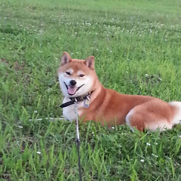 51f21721 cccc 4af9 b80d b3cb213c28b9