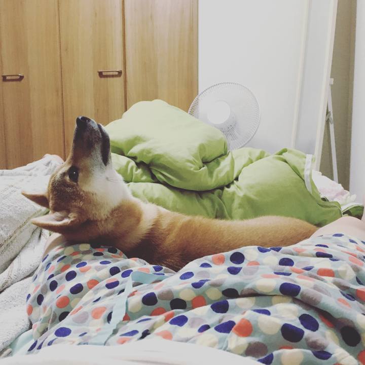 51f2477a 0e5b 4026 a063 5f96afcd195a