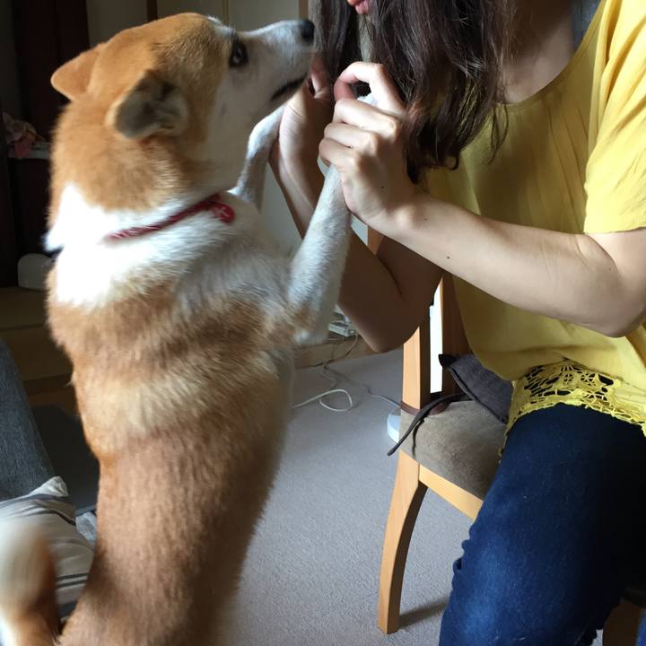 51f30405 7c54 49e3 b5be 1a7b833cfd92