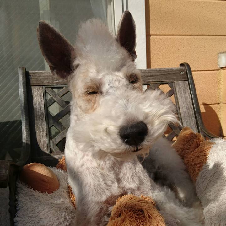 51f36309 59d2 4d52 a692 0695e64c1019