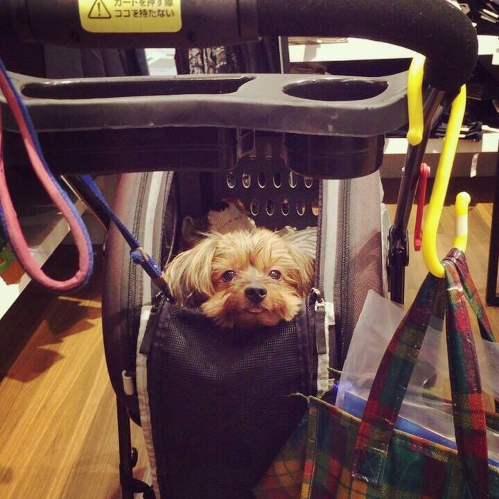 51f3cc69 89b3 473f 94a4 1b7a6eb7e097