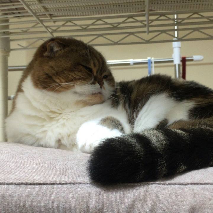 51f64e16 f278 4a87 8260 accb747211c6