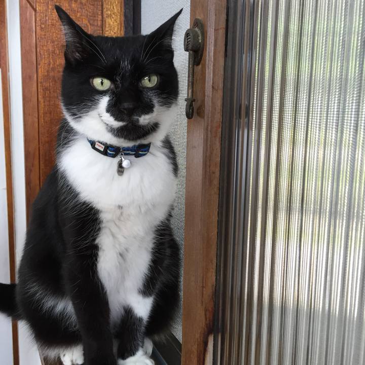 51f69926 c3f6 44d3 b88d 4dbcf2b30f8c