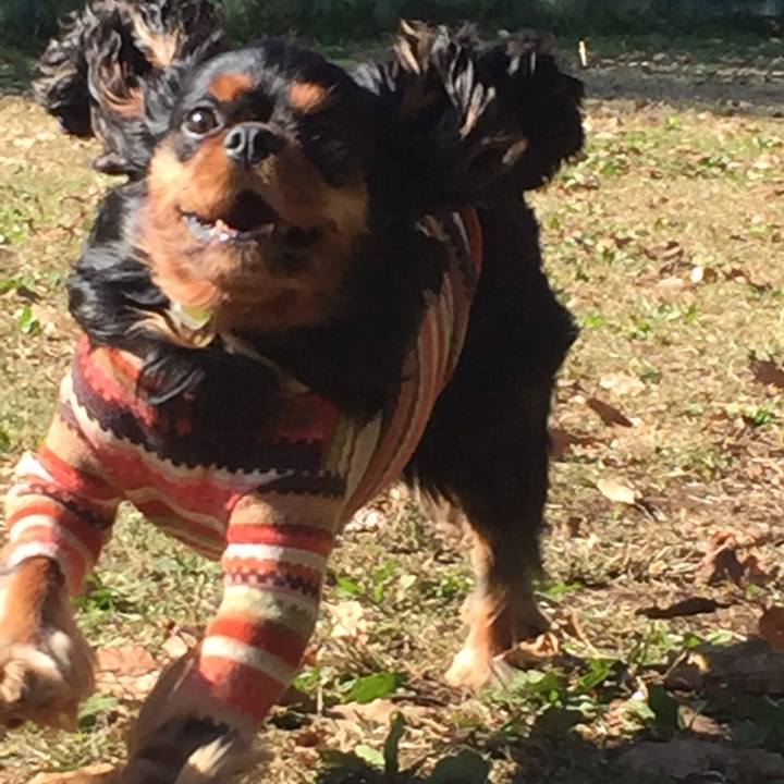 51f6babe 92e8 445f 938c ad7bf590b9a7