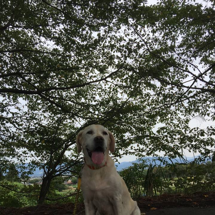 51f784ec 3542 4b1e 895a cc67a3c8f373