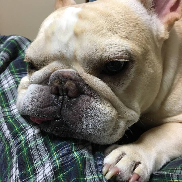 51f7a22b 1b1d 4eab 9972 e1fbf7dd307c