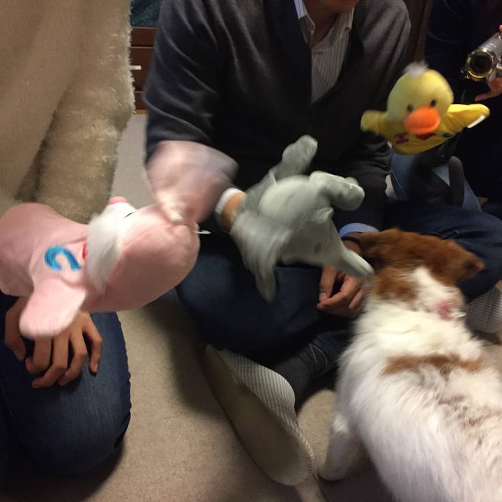 51f80fd7 5efa 4ac5 8940 8df542b794ab