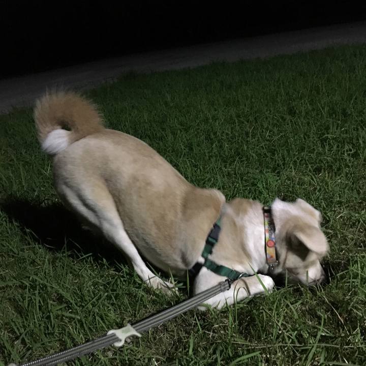 51f81af4 0137 40bb ba75 b904c0a94aa1