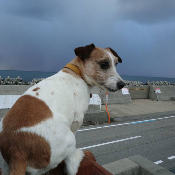 51f8665c 7bbb 42b0 9b7a 120ee1a5479f