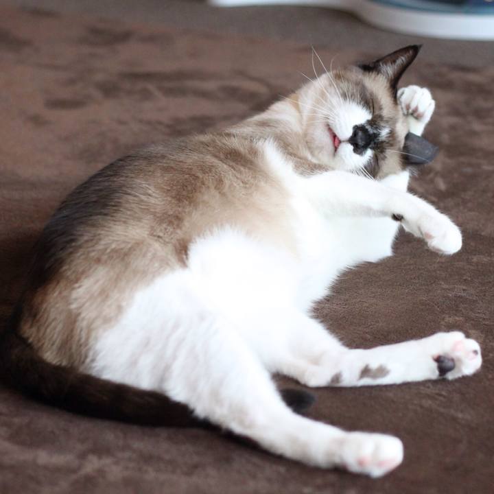 51f89f5e b9bf 4299 9a3a 76d42f77c746