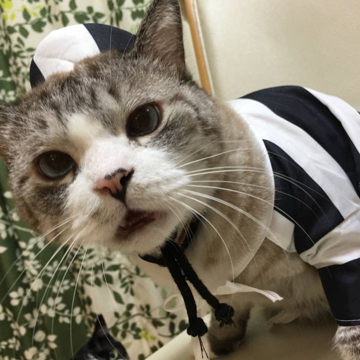 51f8b64e 1511 4213 88d4 2939e8bc151b