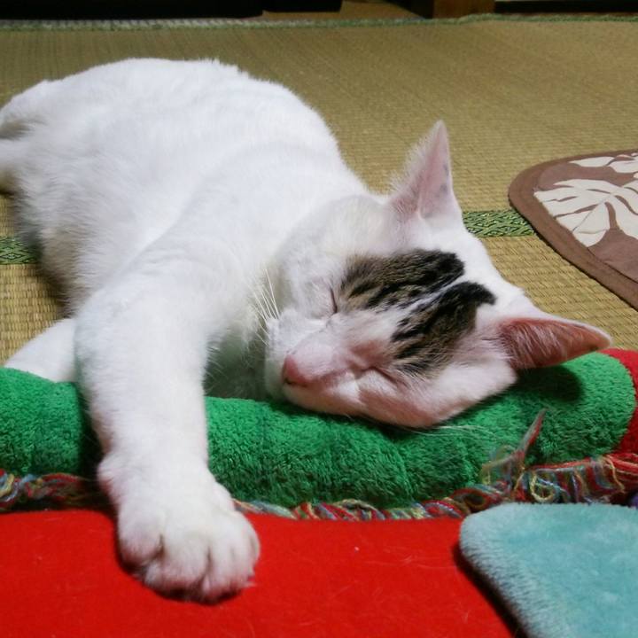 51f99049 fb74 4282 8cd7 a6f1ebbb678d