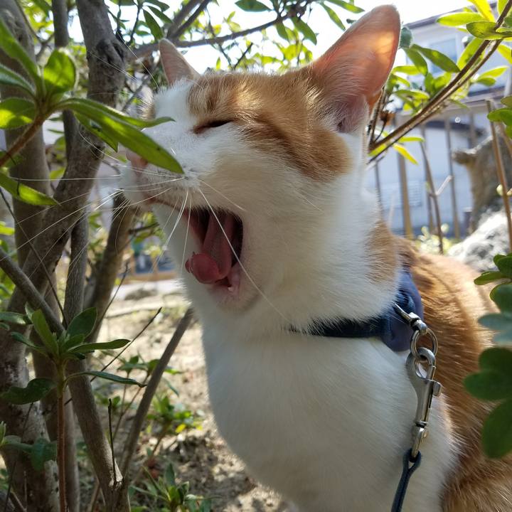 51f9b48e 99fb 4f06 b8ea a4ba437dbe3a