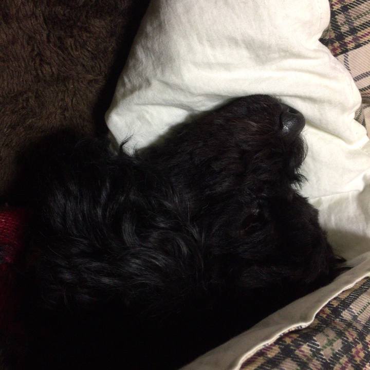 51f9f460 abef 4155 8876 f05a13ad28ef