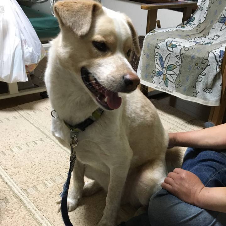 51fa7f08 bc0e 455e 8240 76a764d8fcf1