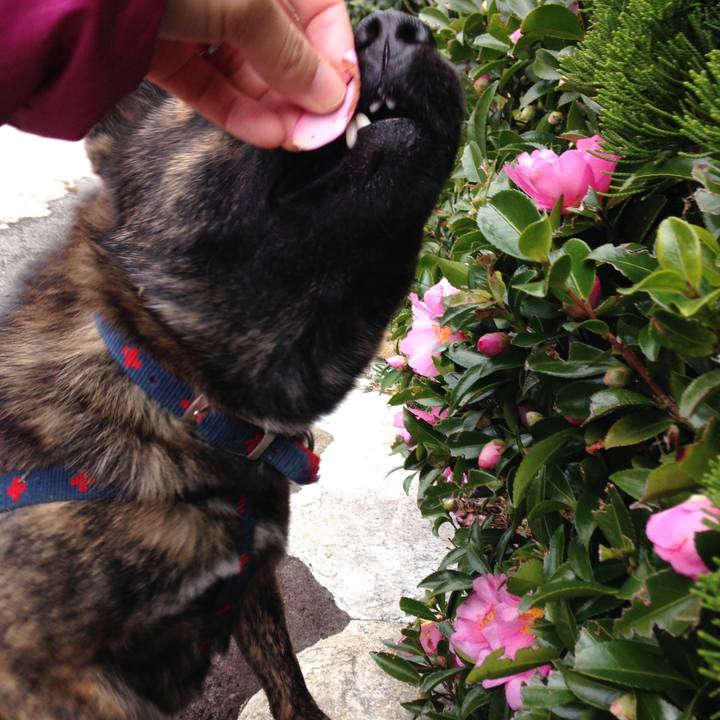 51fad6d3 3cc0 4ee2 a47a c834f5678654