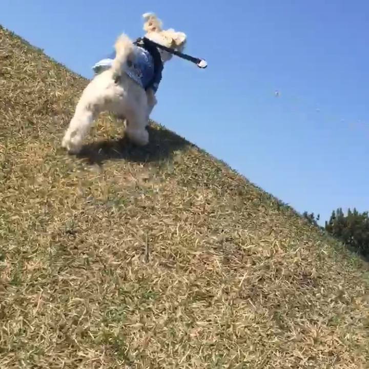 51fadd9d 25b5 47ee bb18 2c0b828b2242