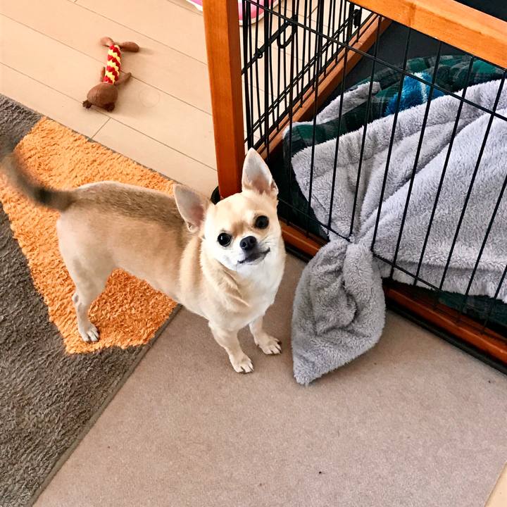 51fbaf62 dea5 4078 b21b 5ef0eb56afd0