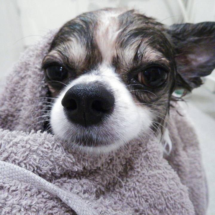 51fc4fff 6a2c 45f7 b509 70a088029dca