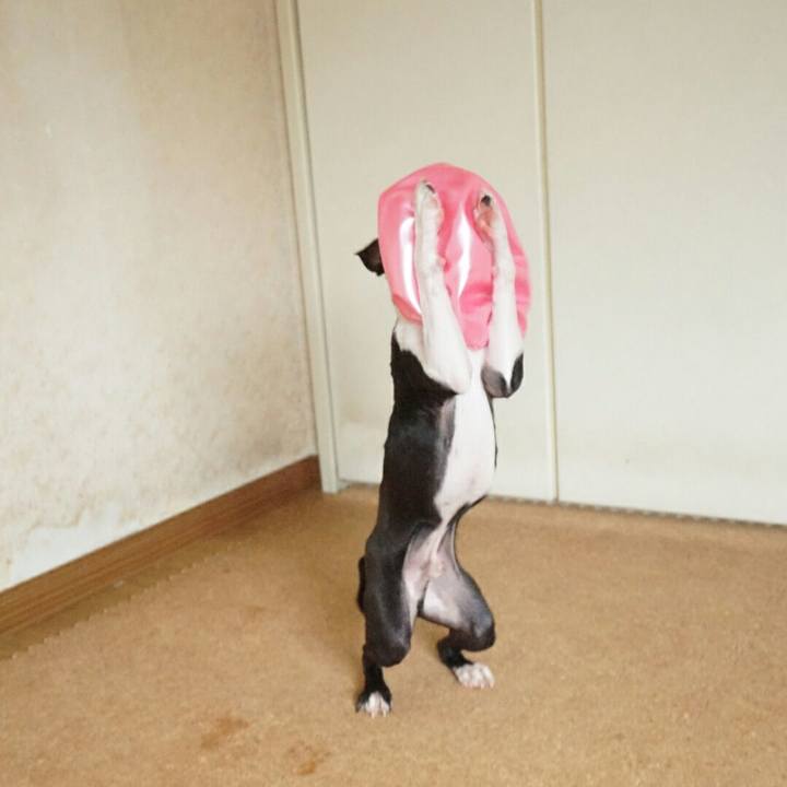 51fc779d 7783 4dc8 a30a 3d2f2057d110