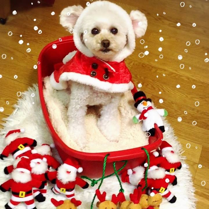 51fd112b a3ac 491f 873c c16a2469ed8c