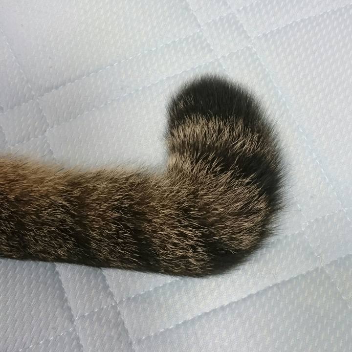 51fd9b60 175c 46fa 958d 19fcf0a6043a