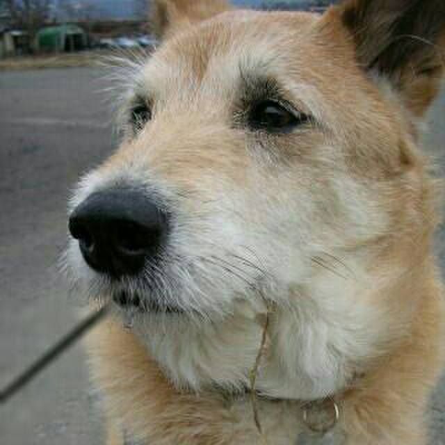 51fe2f41 b063 46f6 a312 628daf882428