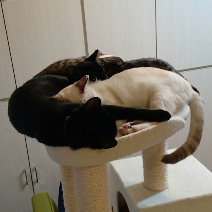 51fe9856 99fb 4926 aea4 7a633203dafa