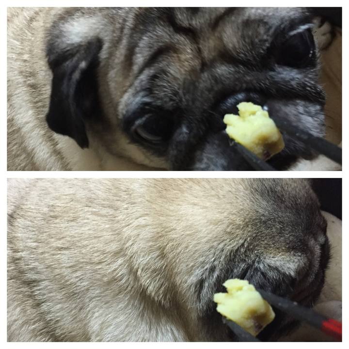 51ff01b5 1ff3 45b7 b388 c7aeb7ae9cd3