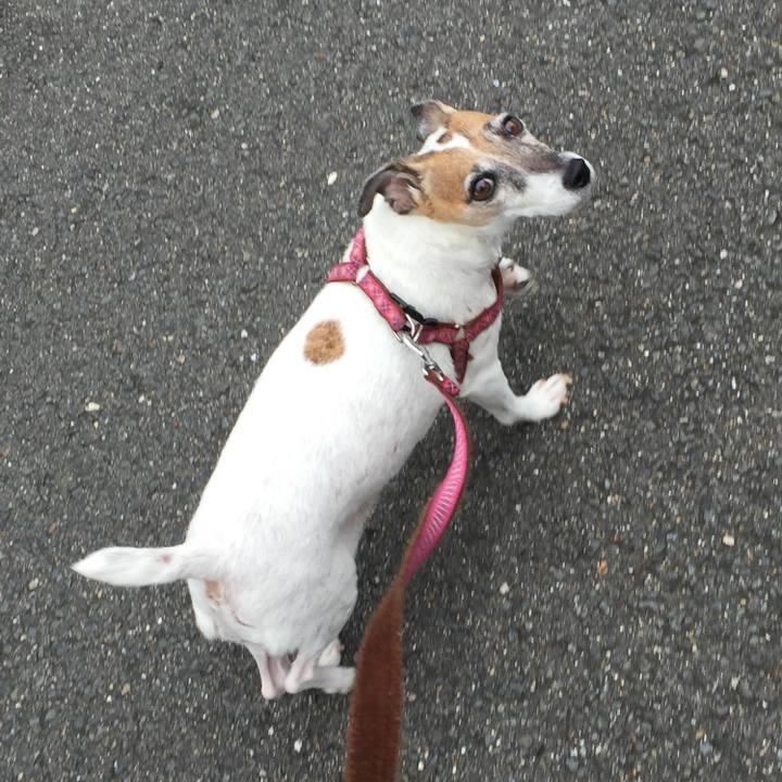 51ff9a2d c244 420c 8c06 53ca1e73315a