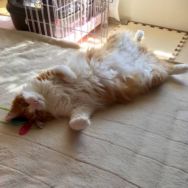 51ffbbf0 4b87 420e a821 ffa5d23b5cd1