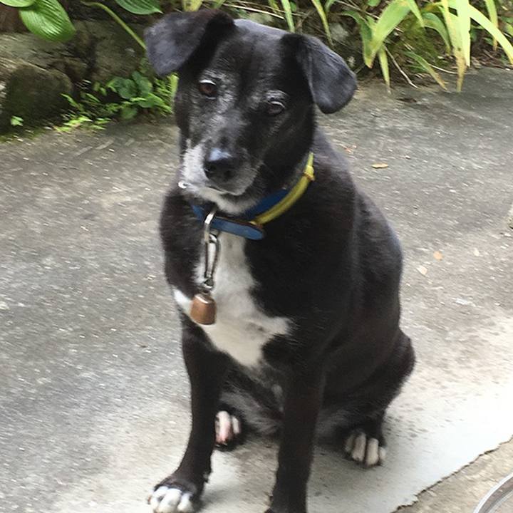 520002ca ab48 4a9b af40 384bcdfd189e