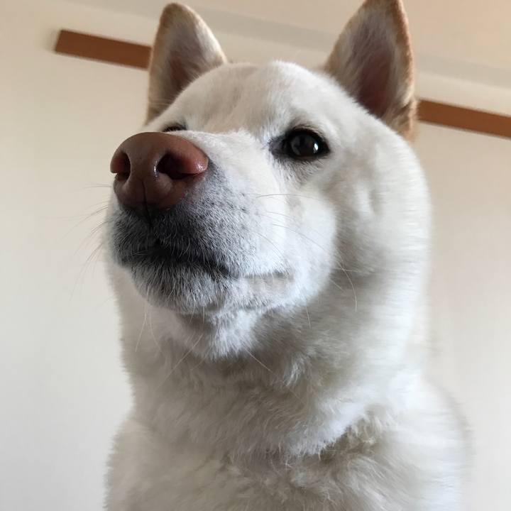 52002984 6f77 43b3 812e 48237b7b9fbe