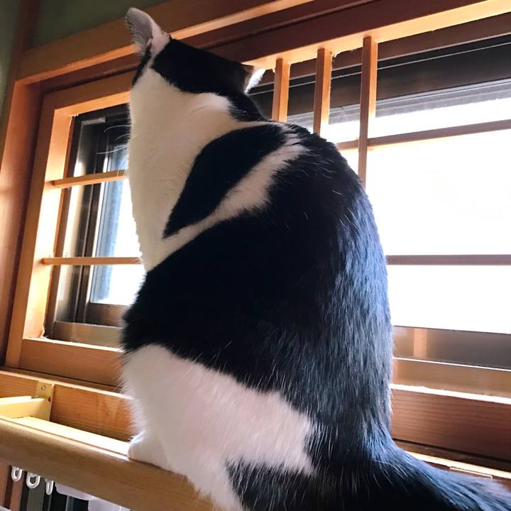 52006bbe d90d 4967 8d91 ba49e62eb30b