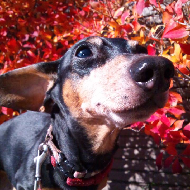 5200e4fb 7720 408c b6c1 6661bce63080