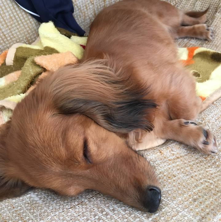 5201e339 2448 46bf ae67 ce5ab8a14211