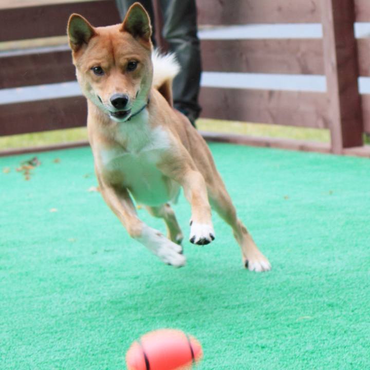 5202bacb b5a4 4a9f b775 7b5c4b79d3c2