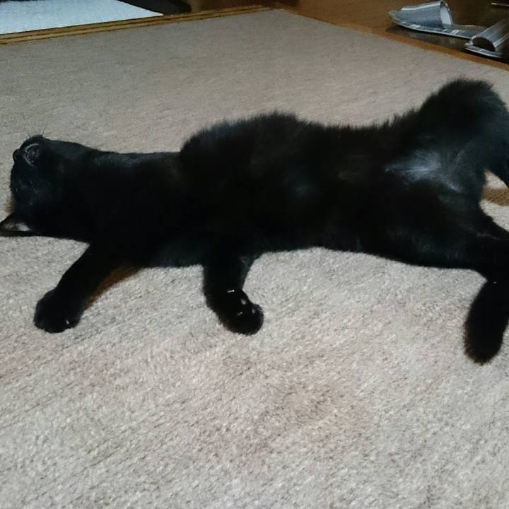 520325d6 9731 4b1c a245 0a448c0ac598