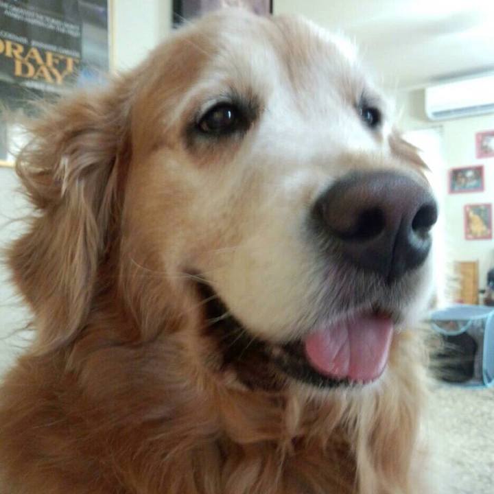 5203a8d1 9a7b 495c ad4f d7824e17a955