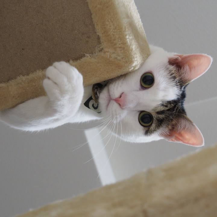 52040c9a 3d31 48d9 9b7e 294a93bd56f9